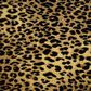 Kane Kaplani Carpet in Agile Cheetah, , large