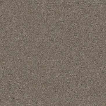 Shaw Without Limits II Carpet in Saddle Tan, , large