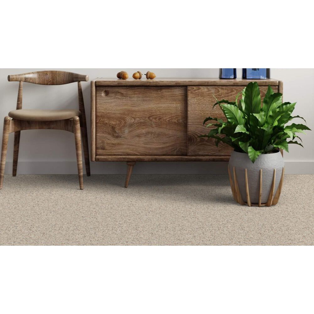 Dixie Home Bella Carpet in Pet, , large