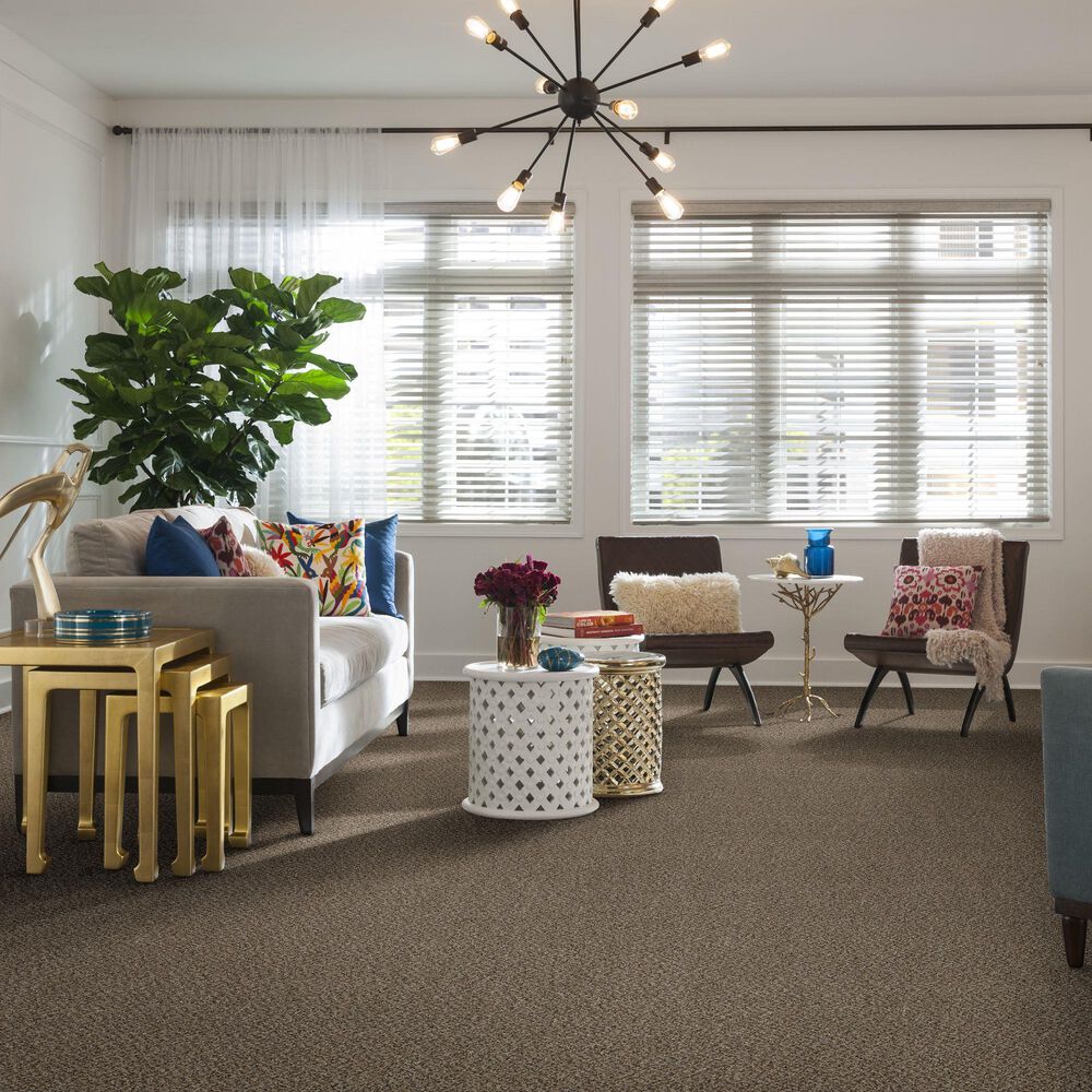 Philadelphia Mixed Essentials Carpet in Resort Beach, , large