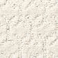 Shaw Simply the Best Valid Carpet in Pearl, , large