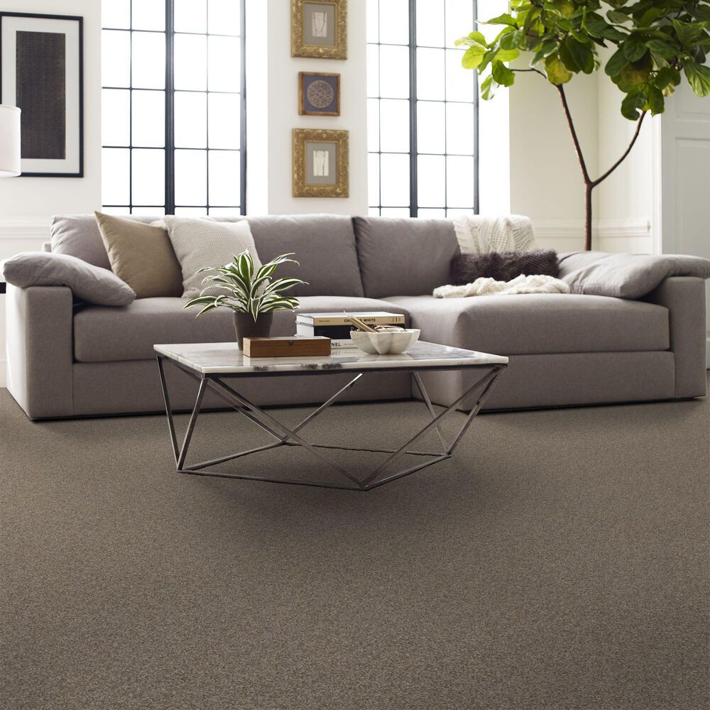 Shaw Artistic Fusion II Carpet in Honeycomb, , large