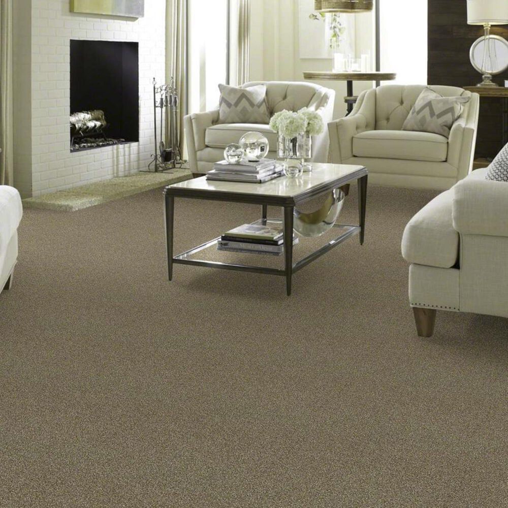 Philadelphia Making The Rules II Carpet in Biscotti, , large