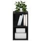 HOMLUX 2-Tier Open Shelf Bookcase in Blackwood, , large
