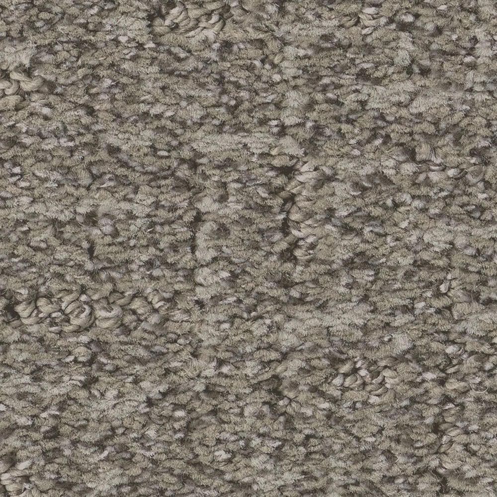 Anderson Tuftex Knickknack Carpet in Barnboard, , large