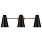 Golden Lighting Reeva 3-Light Bath Vanity with Matte Black Shade in Modern Brass, , large