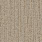 Dixie Home Lazy Day Carpet in Stone, , large