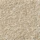 Shaw Find Your Comfort TT I Carpet in Dinner with Friends, , large