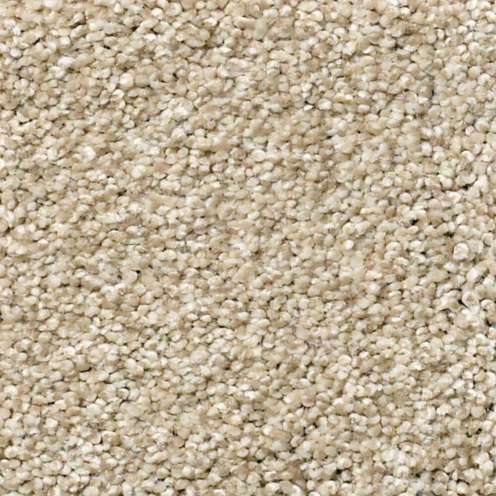 Shaw Find Your Comfort TT I Carpet in Dinner with Friends, , large