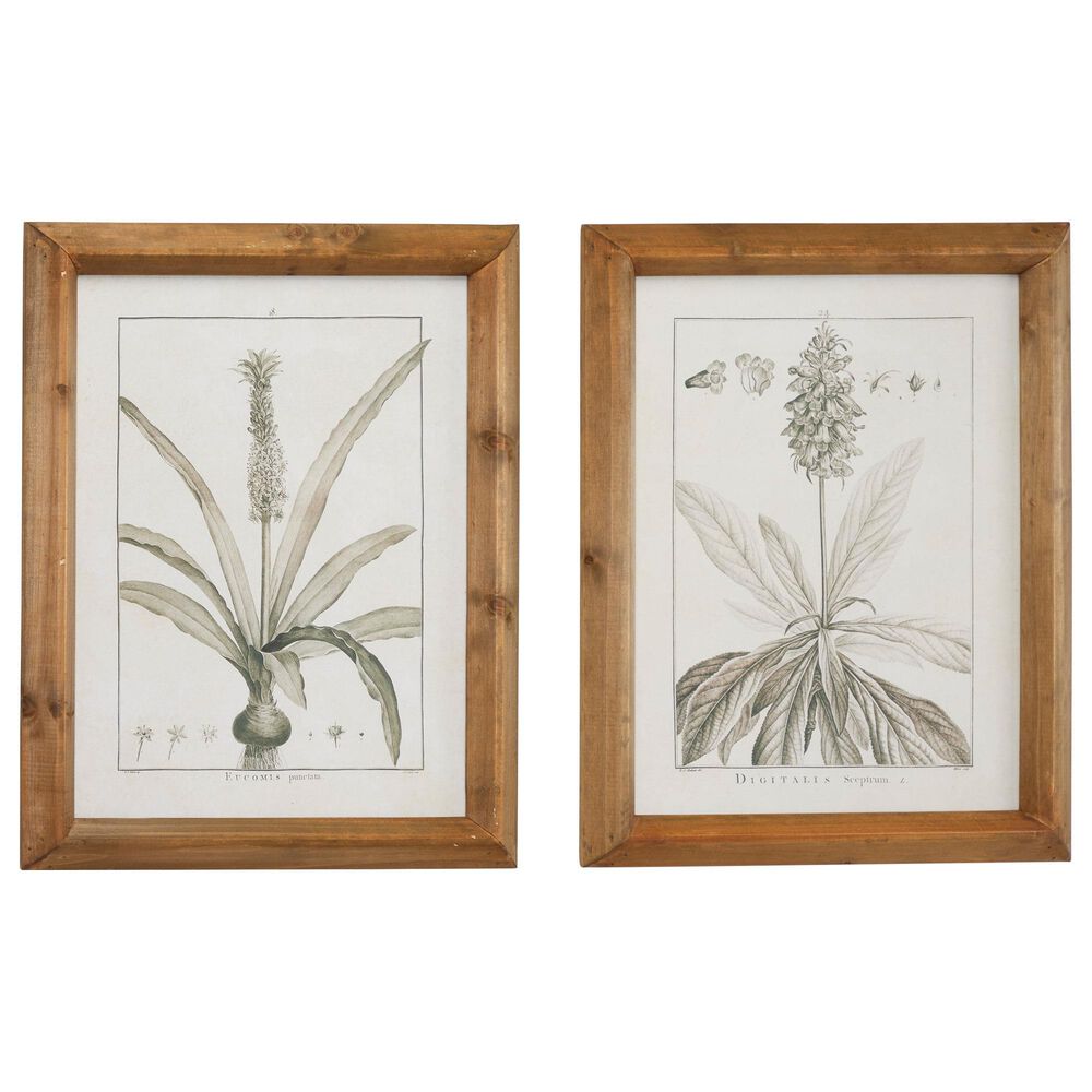 Maple and Jade 22" x 17" Leaves Framed Wall Art in Distressed Brown (Set of 2), , large