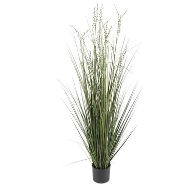 Maple and Jade 61" Indoor/Outdoor Tall Artificial Onion Grass with Black Plastic Pot in Green, , large