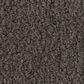 Anderson Tuftex Luxe Feel II Carpet in Armory, , large