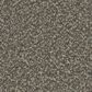 Phenix Vista Gold Carpet in Highland, , large