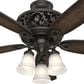 Hunter Promenade 54" Ceiling Fan with Lights in Brittany Bronze, , large