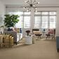 Anderson Tuftex Powerful Art Carpet in Baked Beige, , large