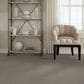 Anderson Tuftex Barracan Classic I Carpet in Birch Bark, , large