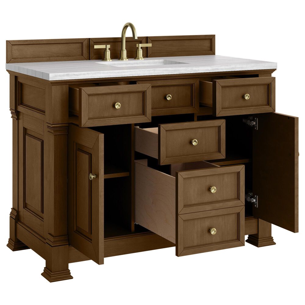 James Martin Vanities Brookfield 48&quot; Single Bathroom Vanity in Honey Oak with 3 cm Arctic Fall Solid Surface Top and Rectangular Sink, , large