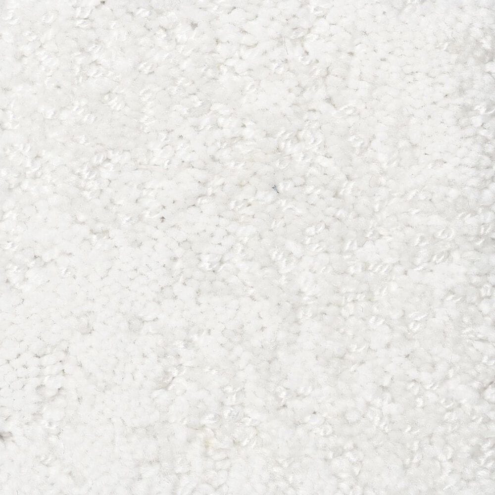 Anderson Tuftex Caress by Shaw Artistic Presence Carpet in Snowfall, , large