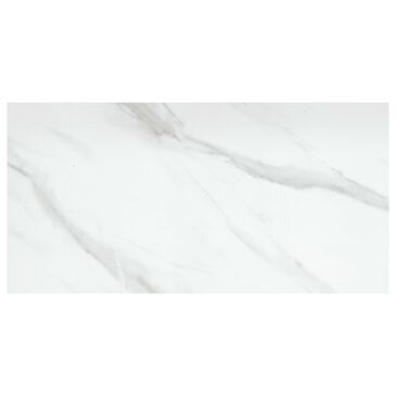 Emser Nobleza Astorga 12" x 24" Porcelain Tile, , large