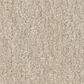 Shaw Easy Spirit II 12" Carpet in Bleached, , large