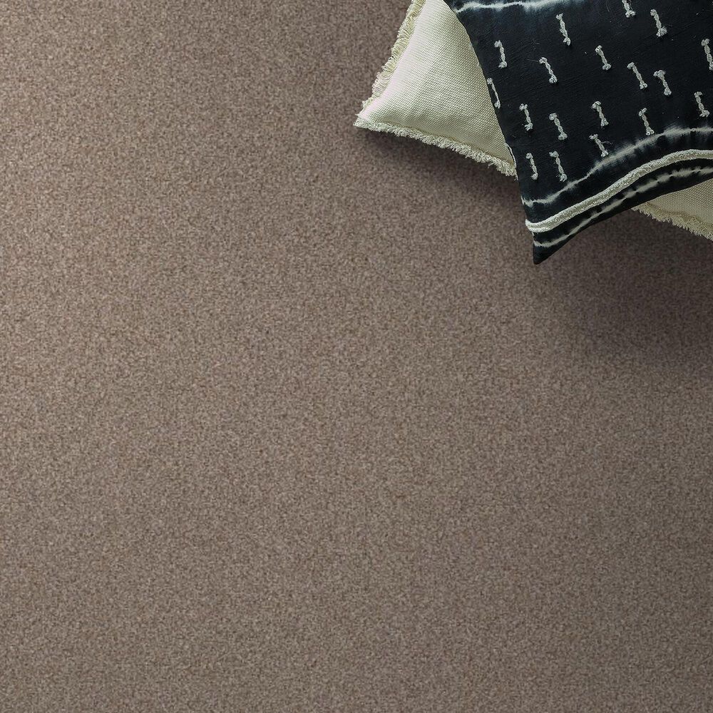 Shaw Truspirit Ii Carpet in Cottage, , large