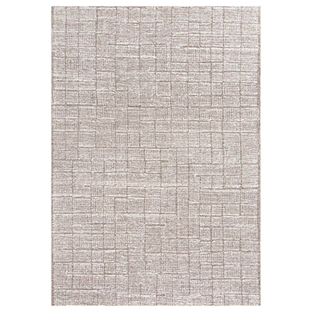RIZZY Taylor TAY874 7"9" x 9"9" Brown Area Rug, , large