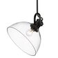 Golden Lighting Hines 1-Light Pendant in Matte Black, , large
