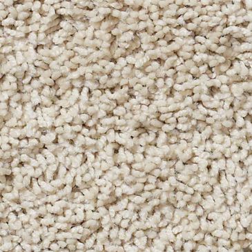 Anderson Tuftex Del Morro Carpet in Chic Cream, , large