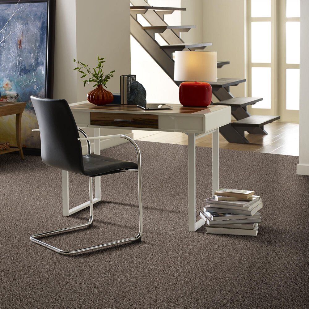 Philadelphia Mixed Essentials Carpet in Burro Brown, , large