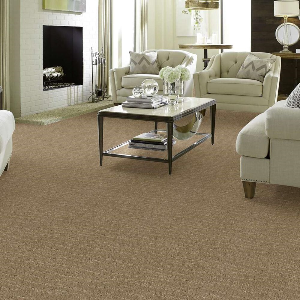 Anderson Tuftex Matisse Carpet in Coronado, , large