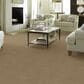 Anderson Tuftex Matisse Carpet in Coronado, , large