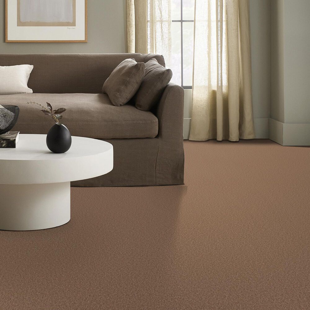 Shaw Tonal Comfort I Carpet in Terracotta Pot, , large