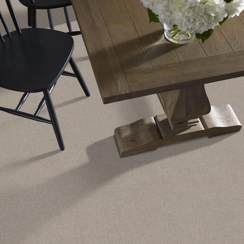 Shaw New Memories T Carpet in Chic Taupe, , large