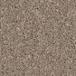 Anderson Tuftex Enduring Charm Carpet in Tuffet, , large