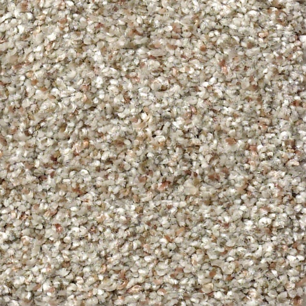 Shaw Find Your Comfort TA I Carpet in Long Bridge, , large