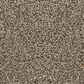 Revolution Mills Milan Carpet in Mountain View, , large