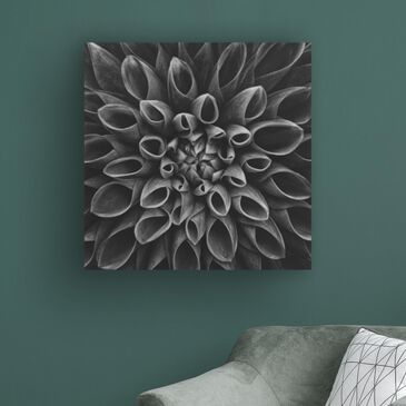 Timberlake Lotte Gronkjar "Dahlia Low Key" 35" x 35" Canvas Art, , large