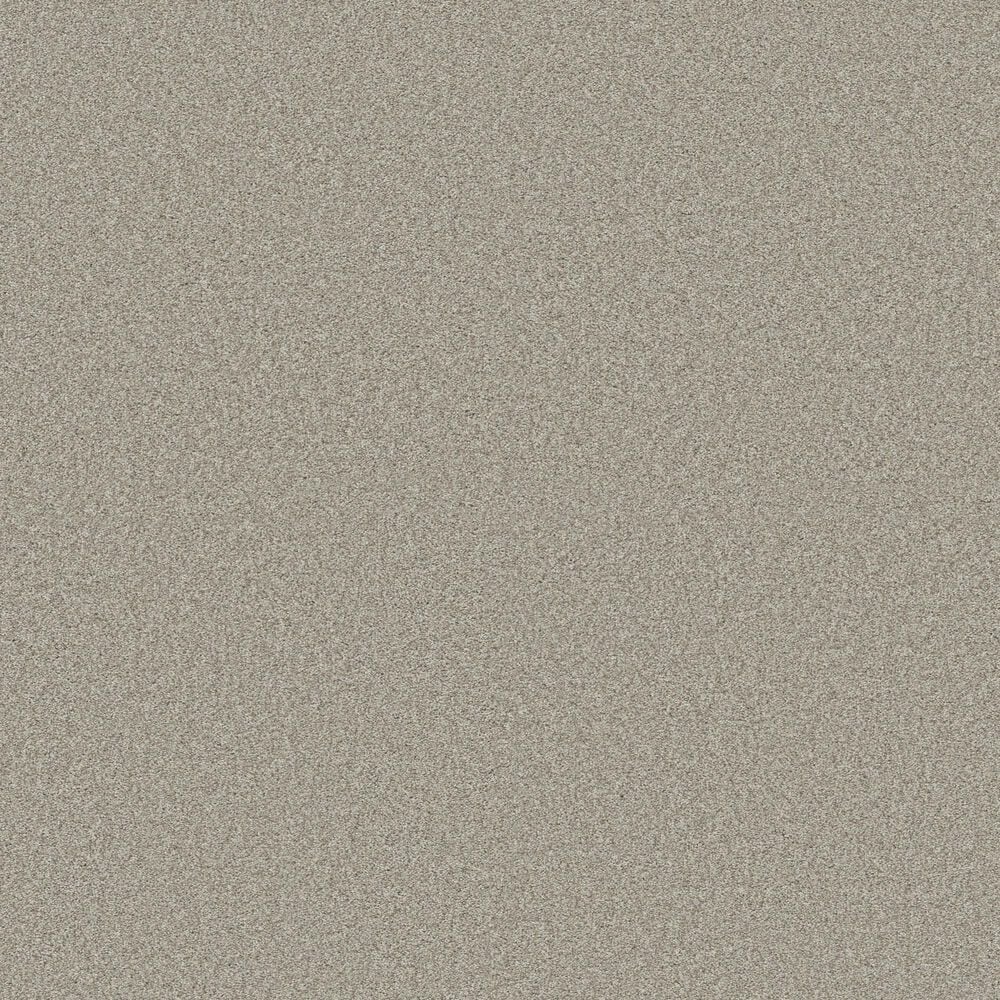 Shaw Comforting II Carpet in Anonymous, , large