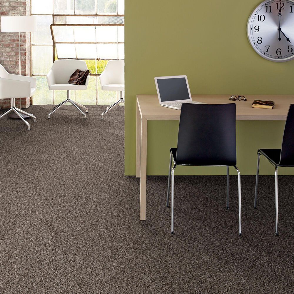 Philadelphia Mixed Essentials Carpet in Burro Brown, , large