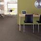 Philadelphia Mixed Essentials Carpet in Burro Brown, , large
