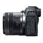 Canon EOS R8 RF24-50mm F4.5-6.3 IS STM Lens Kit Mirrorless Camera, , large