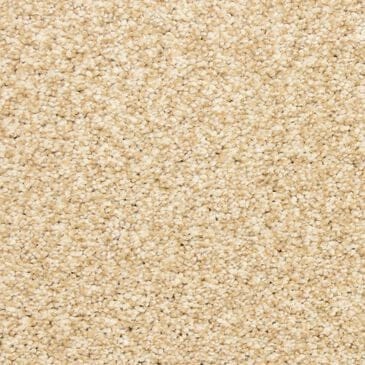Dixie Home Escalante Carpet in Champagne, , large