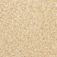 Dixie Home Escalante Carpet in Champagne, , large