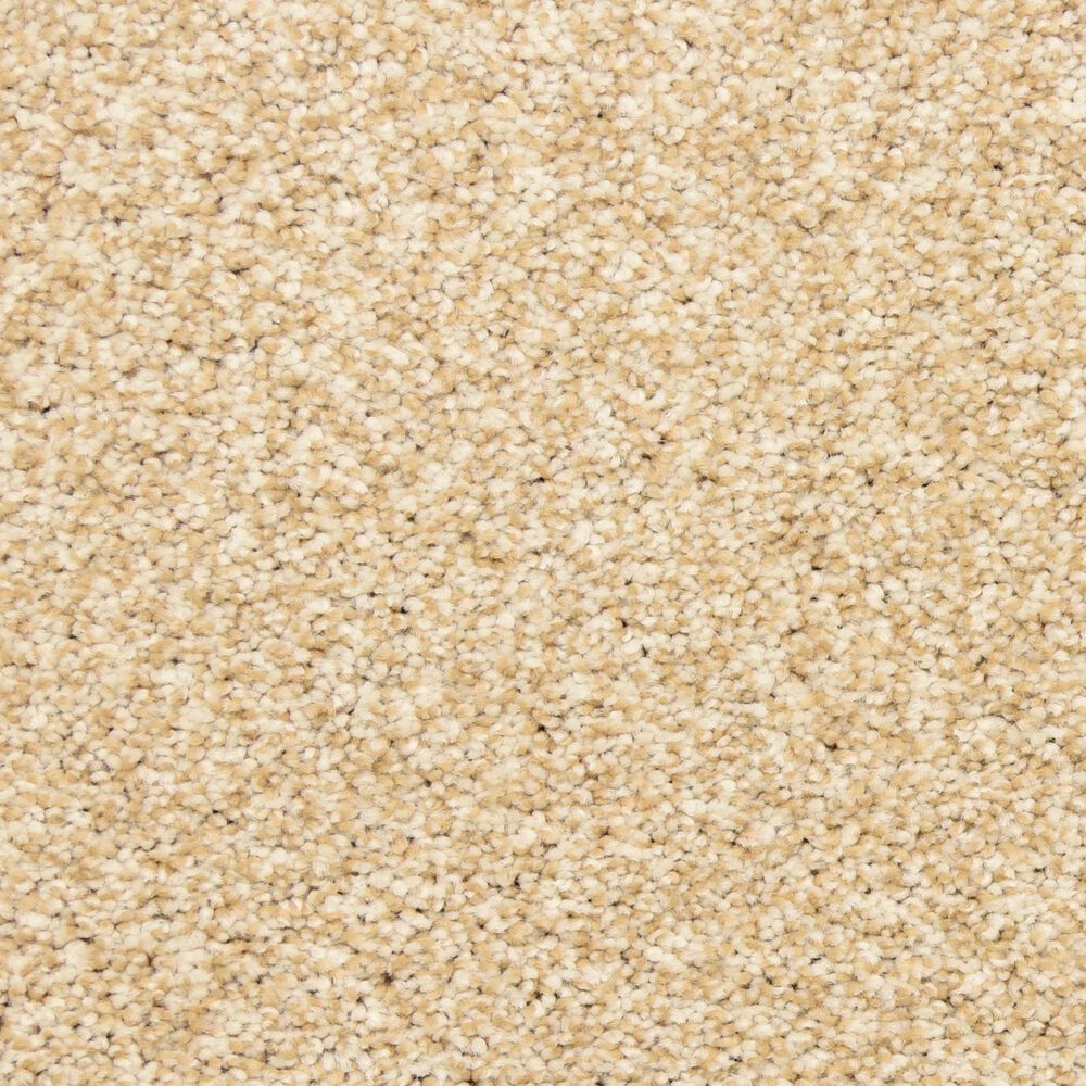Dixie Home Escalante Carpet in Champagne, , large