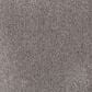 Mohawk Windsor Gardens I Carpet in Stormwatch, , large