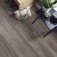 Shaw Paladin Plus Oyster Oak 7" x 48" Vinyl Plank, , large