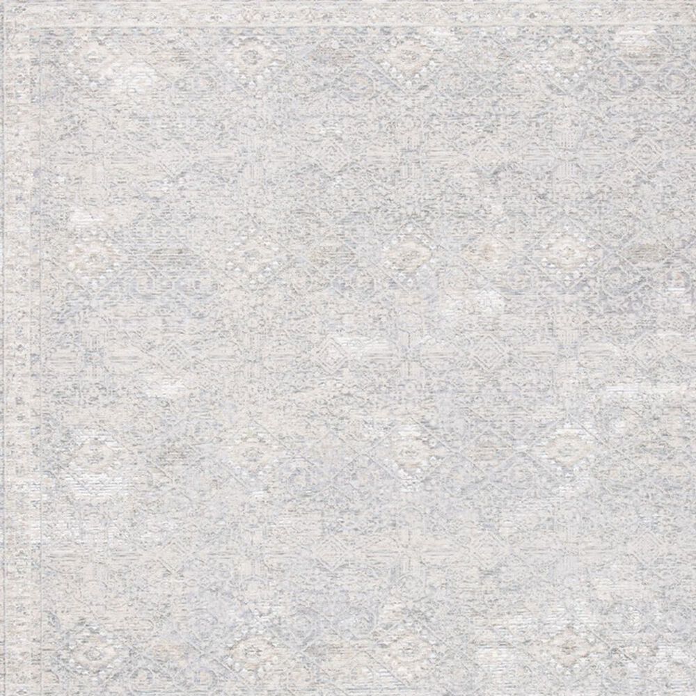 Safavieh Webster WBS334G 4&#39; x 6&#39; Grey and Beige Area Rug, , large