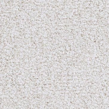 Masland Santo Domingo Carpet in Trustworthy, , large