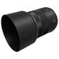 Canon RF 85mm f/2 Macro IS STM Lens in Black, , large