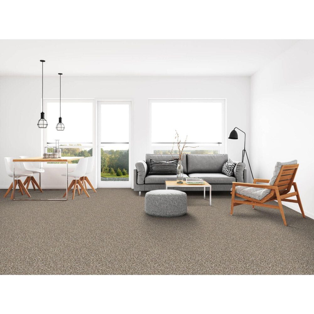 Dixie Home Simplicity Carpet in Yosemite, , large